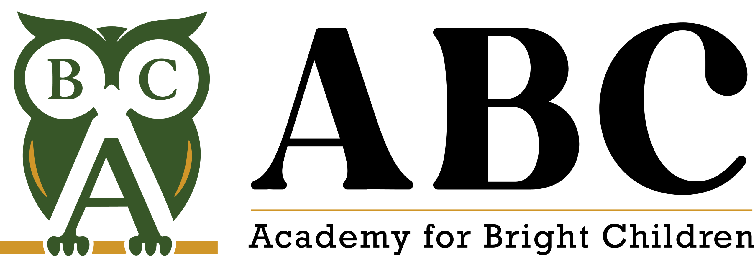 Academy for Bright Children